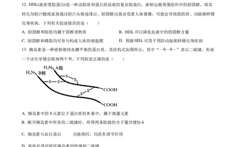 广东省茂名市化州市2024-2025学年高一上学期11月期中生物试题Word版无答案_2024年12月试卷_1214广东省茂名市化州市2024-2025学年高一上学期11月期中考试