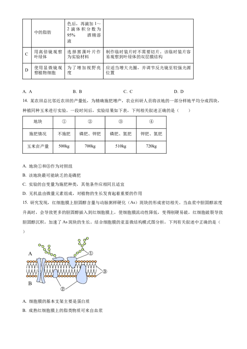 广东省茂名市电白区2024-2025学年高一上学期11月期中考试生物试题Word版无答案_2024年12月试卷_1216广东省茂名市电白区2024-2025学年高一上学期期中考试