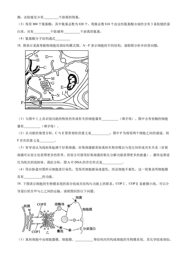 广东省茂名市电白区2024-2025学年高一上学期11月期中考试生物试题Word版无答案_2024年12月试卷_1216广东省茂名市电白区2024-2025学年高一上学期期中考试