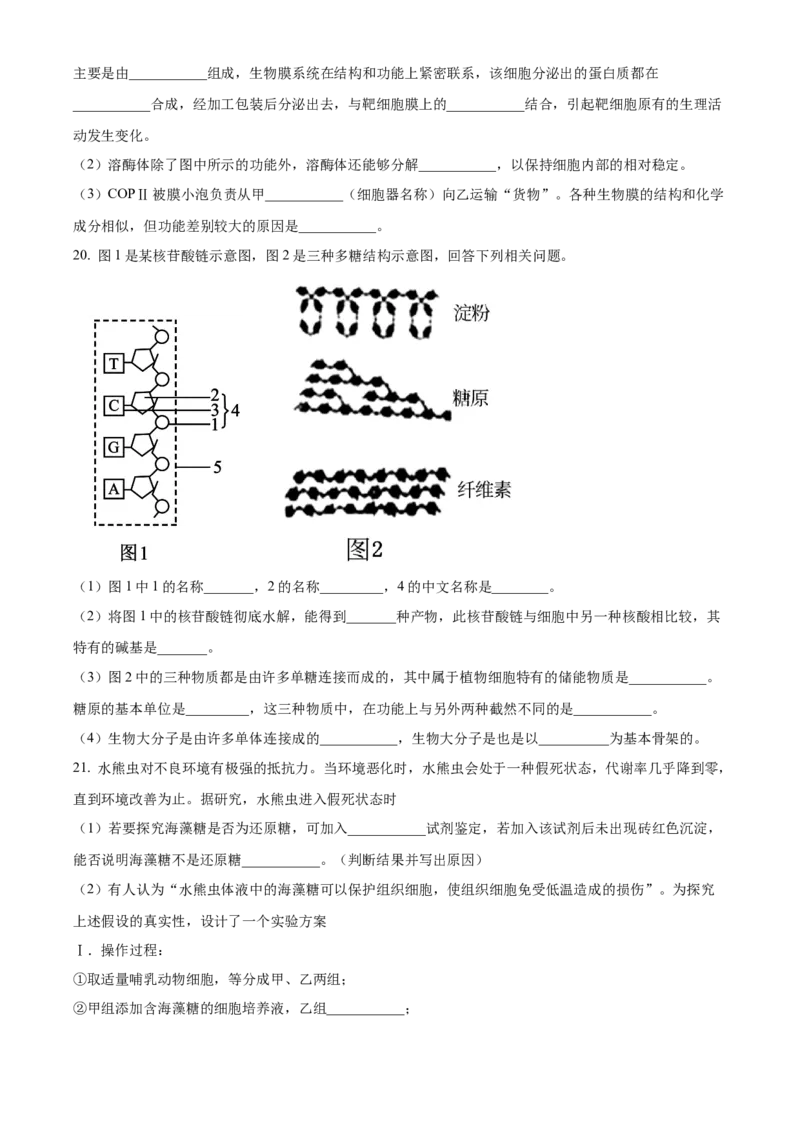 广东省茂名市电白区2024-2025学年高一上学期11月期中考试生物试题Word版无答案_2024年12月试卷_1216广东省茂名市电白区2024-2025学年高一上学期期中考试