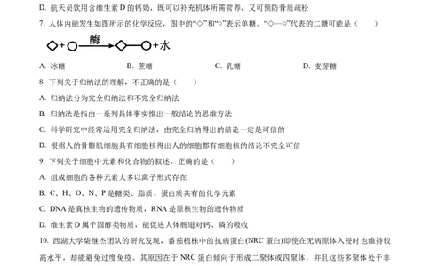 广东省茂名市电白区2024-2025学年高一上学期11月期中考试生物试题Word版无答案_2024年12月试卷_1216广东省茂名市电白区2024-2025学年高一上学期期中考试