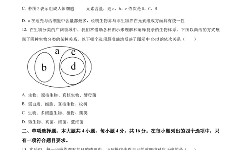 广东省茂名市电白区2024-2025学年高一上学期11月期中考试生物试题Word版无答案_2024年12月试卷_1216广东省茂名市电白区2024-2025学年高一上学期期中考试
