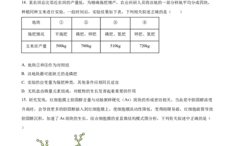 广东省茂名市电白区2024-2025学年高一上学期11月期中考试生物试题Word版无答案_2024年12月试卷_1216广东省茂名市电白区2024-2025学年高一上学期期中考试
