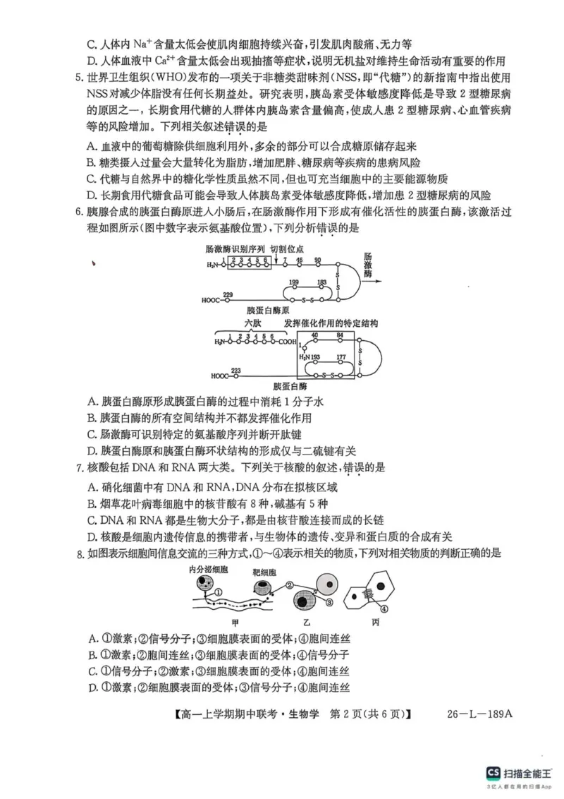 开封五校期中联考高一生物_2025年12月高一试卷_251217河南省开封市五校2025-2026学年高一上学期期中联考_河南省开封市五校2025-2026学年高一上学期11月期中生物试题（图片版，含答案）
