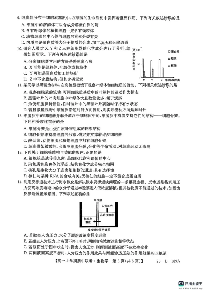 开封五校期中联考高一生物_2025年12月高一试卷_251217河南省开封市五校2025-2026学年高一上学期期中联考_河南省开封市五校2025-2026学年高一上学期11月期中生物试题（图片版，含答案）