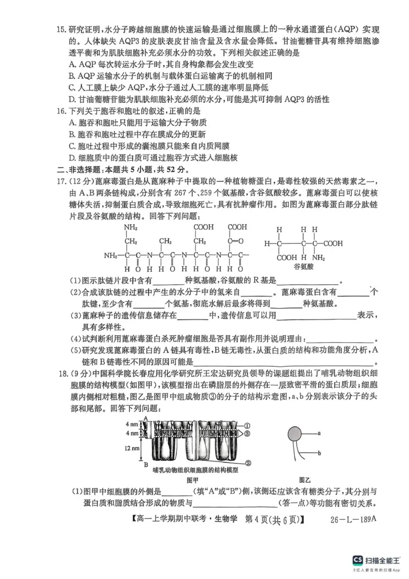 开封五校期中联考高一生物_2025年12月高一试卷_251217河南省开封市五校2025-2026学年高一上学期期中联考_河南省开封市五校2025-2026学年高一上学期11月期中生物试题（图片版，含答案）