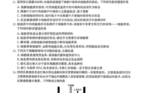 开封五校期中联考高一生物_2025年12月高一试卷_251217河南省开封市五校2025-2026学年高一上学期期中联考_河南省开封市五校2025-2026学年高一上学期11月期中生物试题（图片版，含答案）