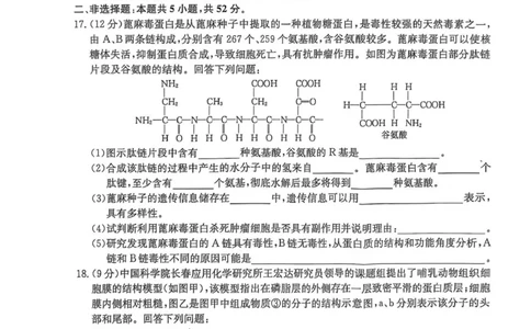 开封五校期中联考高一生物_2025年12月高一试卷_251217河南省开封市五校2025-2026学年高一上学期期中联考_河南省开封市五校2025-2026学年高一上学期11月期中生物试题（图片版，含答案）