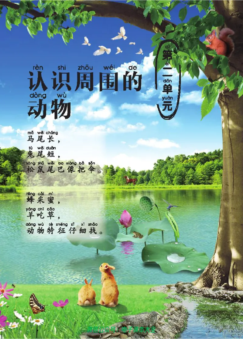 五制一下教材_电子课本_小学电子课本_05科学_青岛版（63、54版）_小学科学青岛五四制1-5下册