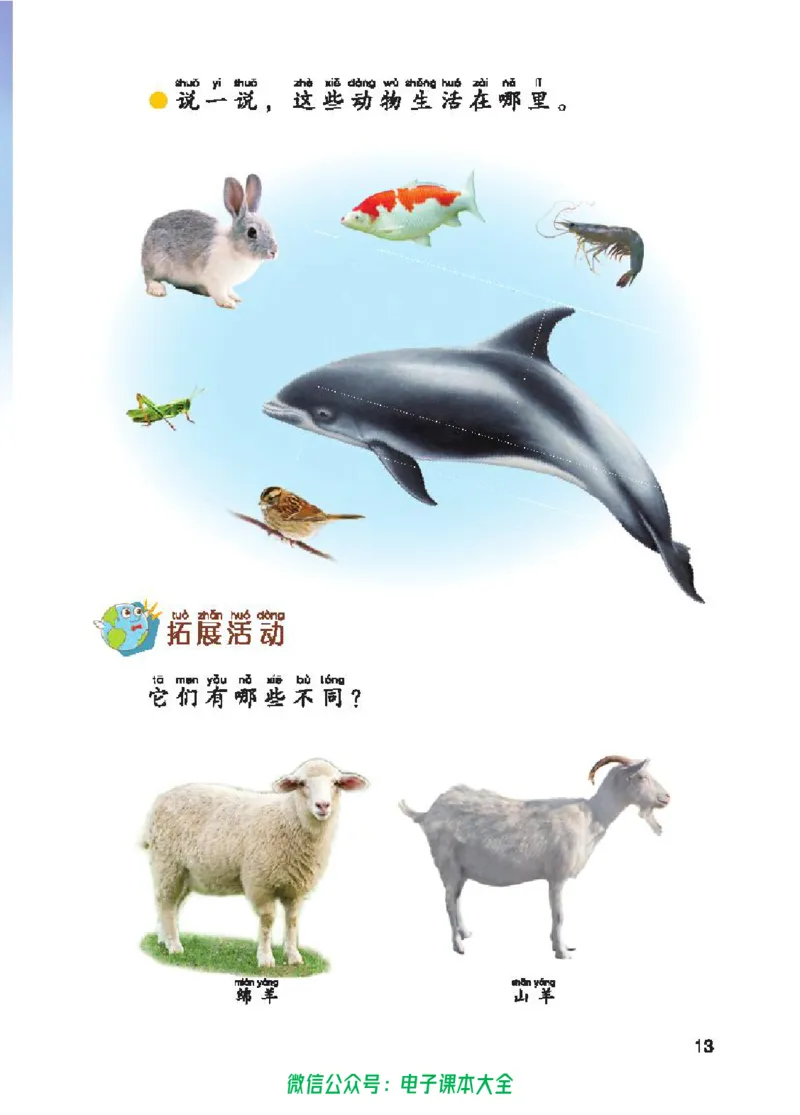 五制一下教材_电子课本_小学电子课本_05科学_青岛版（63、54版）_小学科学青岛五四制1-5下册