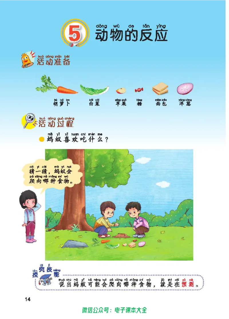 五制一下教材_电子课本_小学电子课本_05科学_青岛版（63、54版）_小学科学青岛五四制1-5下册