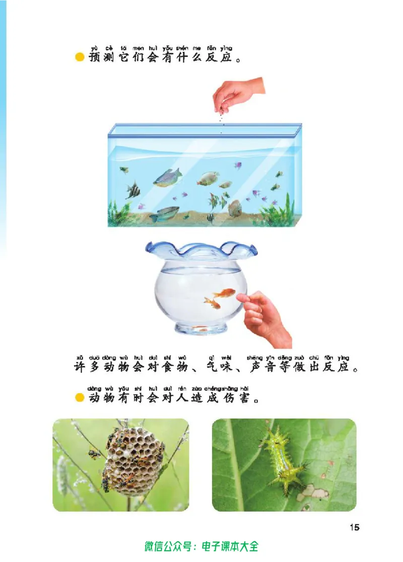 五制一下教材_电子课本_小学电子课本_05科学_青岛版（63、54版）_小学科学青岛五四制1-5下册
