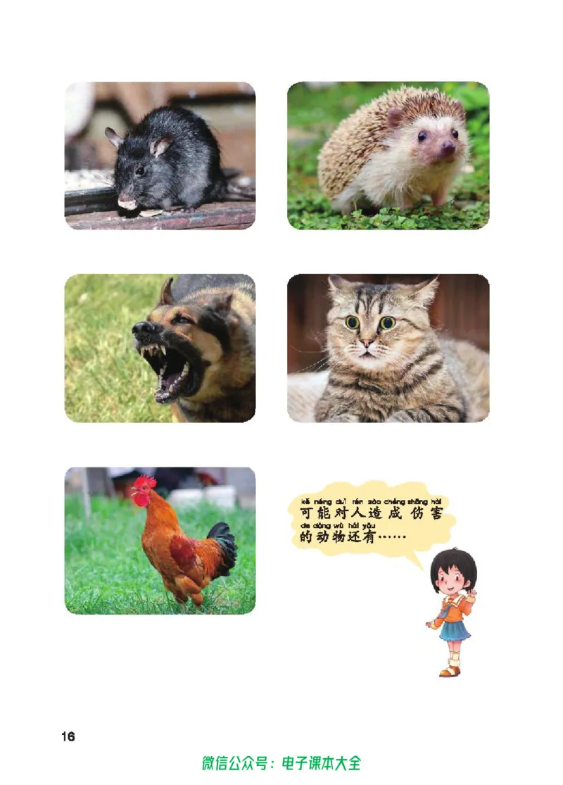 五制一下教材_电子课本_小学电子课本_05科学_青岛版（63、54版）_小学科学青岛五四制1-5下册