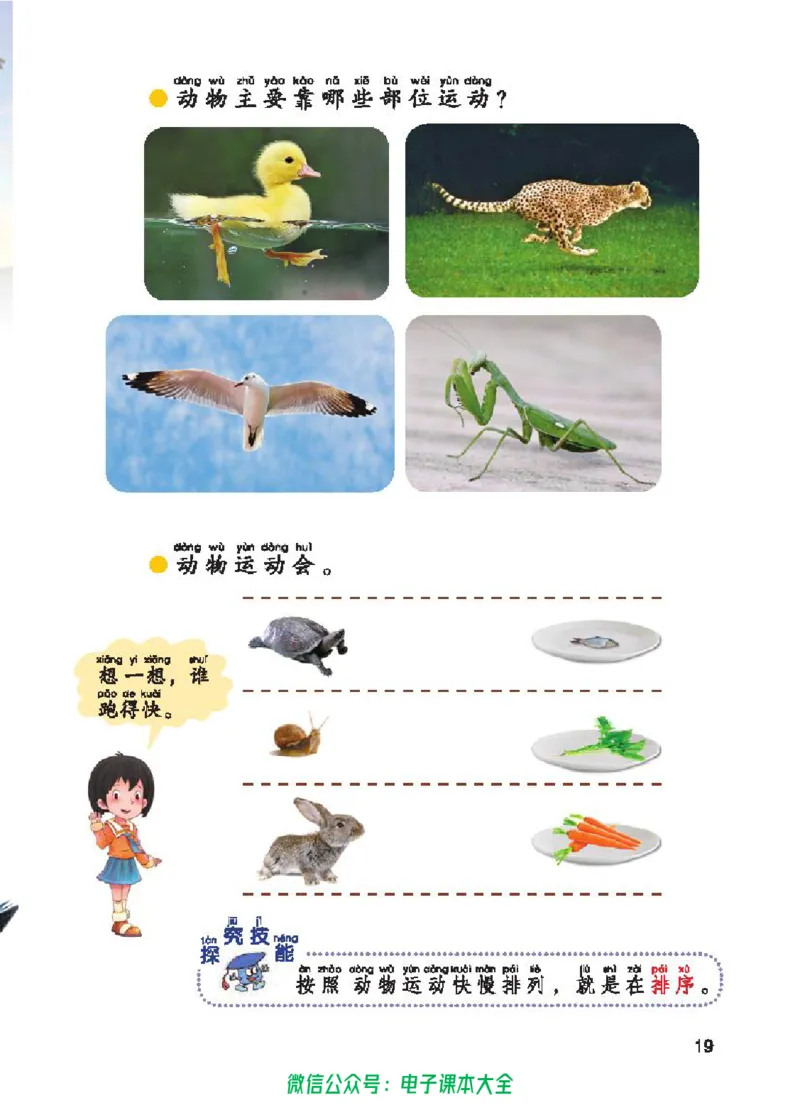 五制一下教材_电子课本_小学电子课本_05科学_青岛版（63、54版）_小学科学青岛五四制1-5下册
