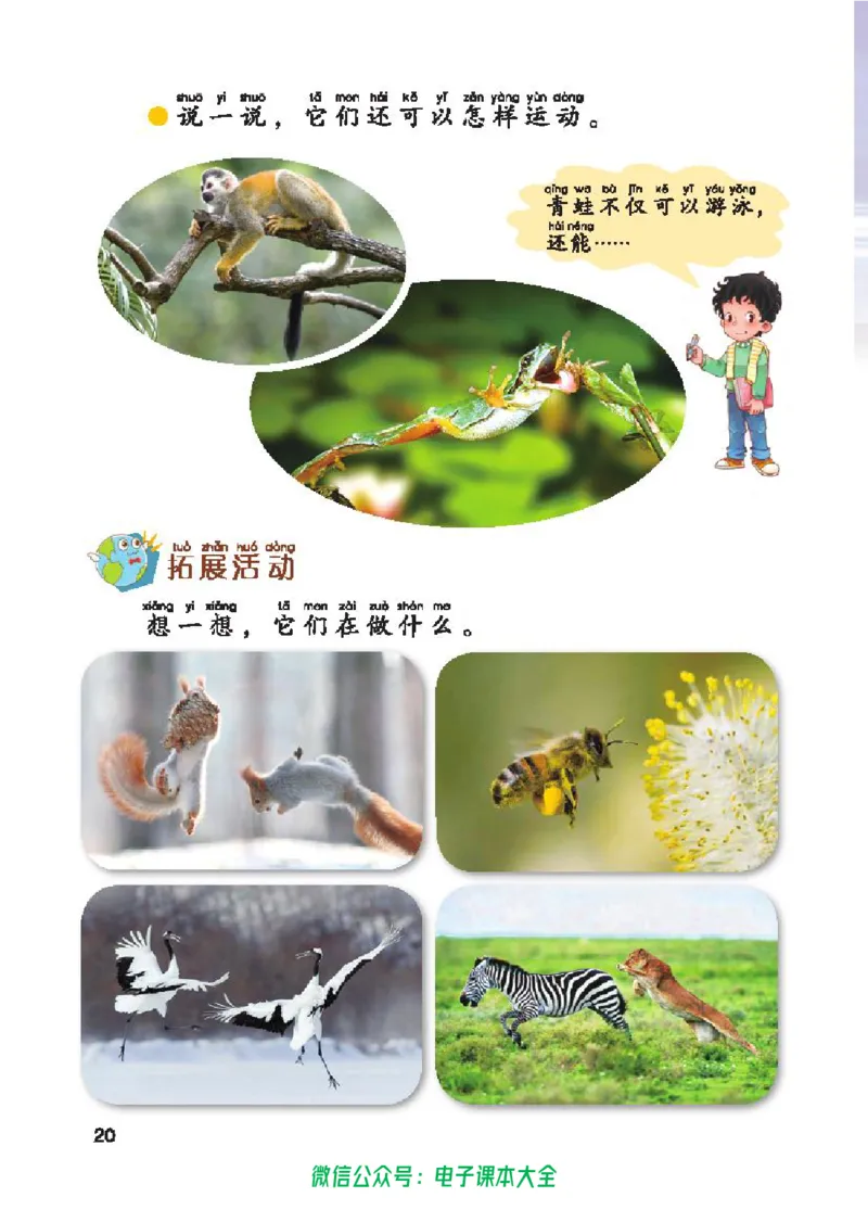 五制一下教材_电子课本_小学电子课本_05科学_青岛版（63、54版）_小学科学青岛五四制1-5下册