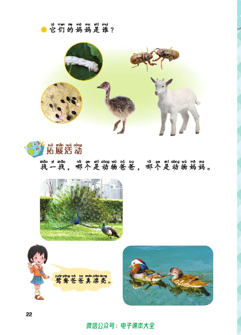 五制一下教材_电子课本_小学电子课本_05科学_青岛版（63、54版）_小学科学青岛五四制1-5下册