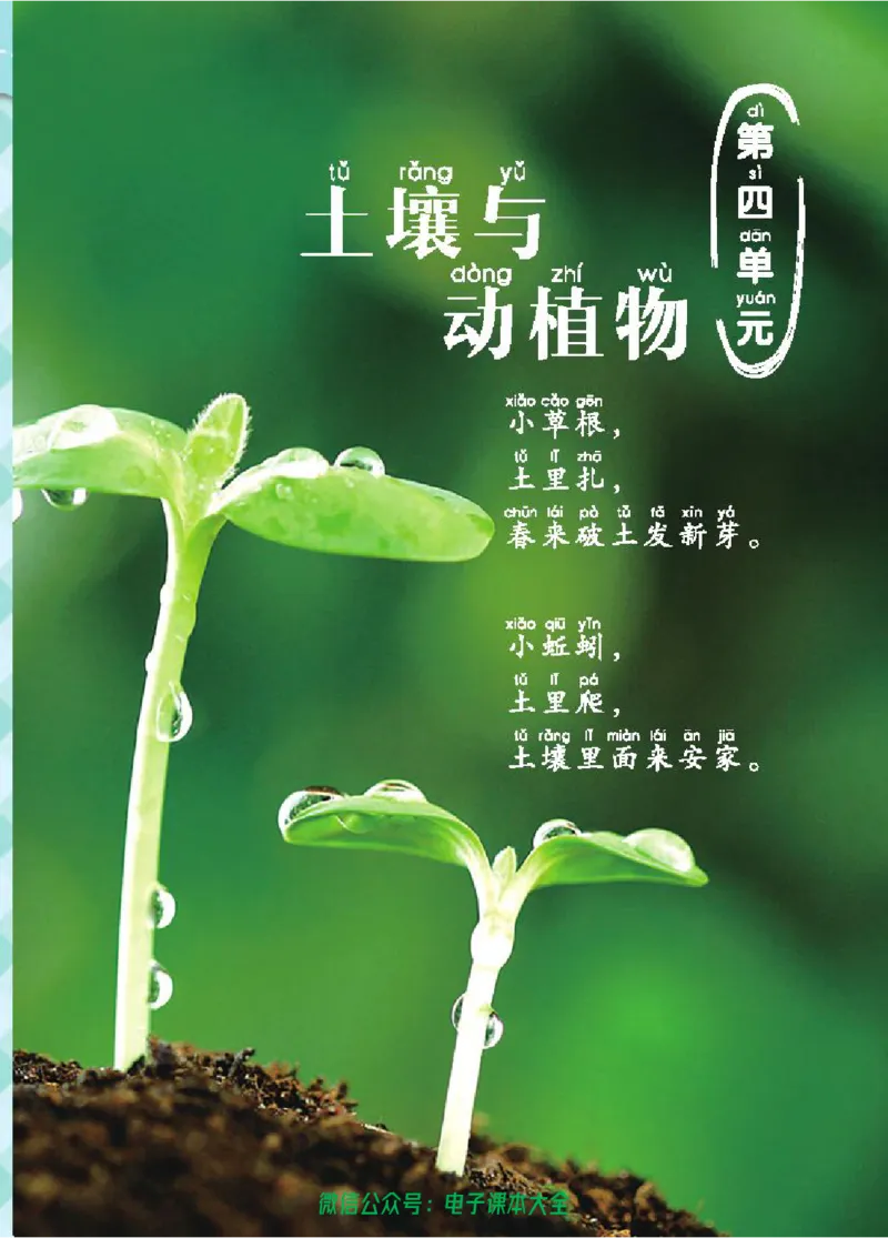 五制一下教材_电子课本_小学电子课本_05科学_青岛版（63、54版）_小学科学青岛五四制1-5下册