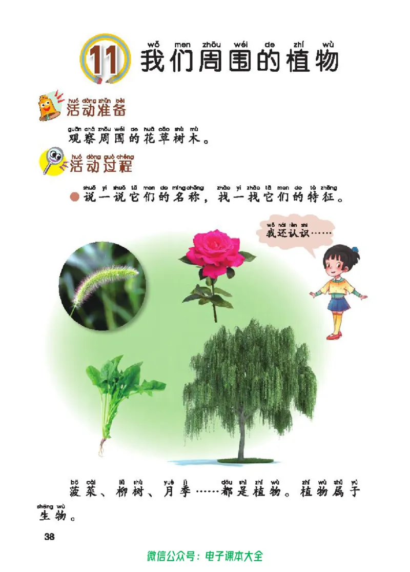 五制一下教材_电子课本_小学电子课本_05科学_青岛版（63、54版）_小学科学青岛五四制1-5下册