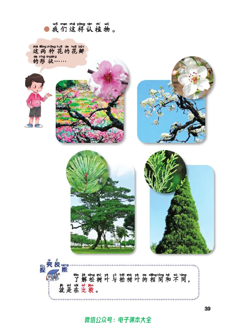 五制一下教材_电子课本_小学电子课本_05科学_青岛版（63、54版）_小学科学青岛五四制1-5下册