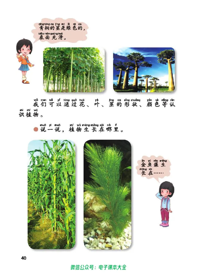五制一下教材_电子课本_小学电子课本_05科学_青岛版（63、54版）_小学科学青岛五四制1-5下册