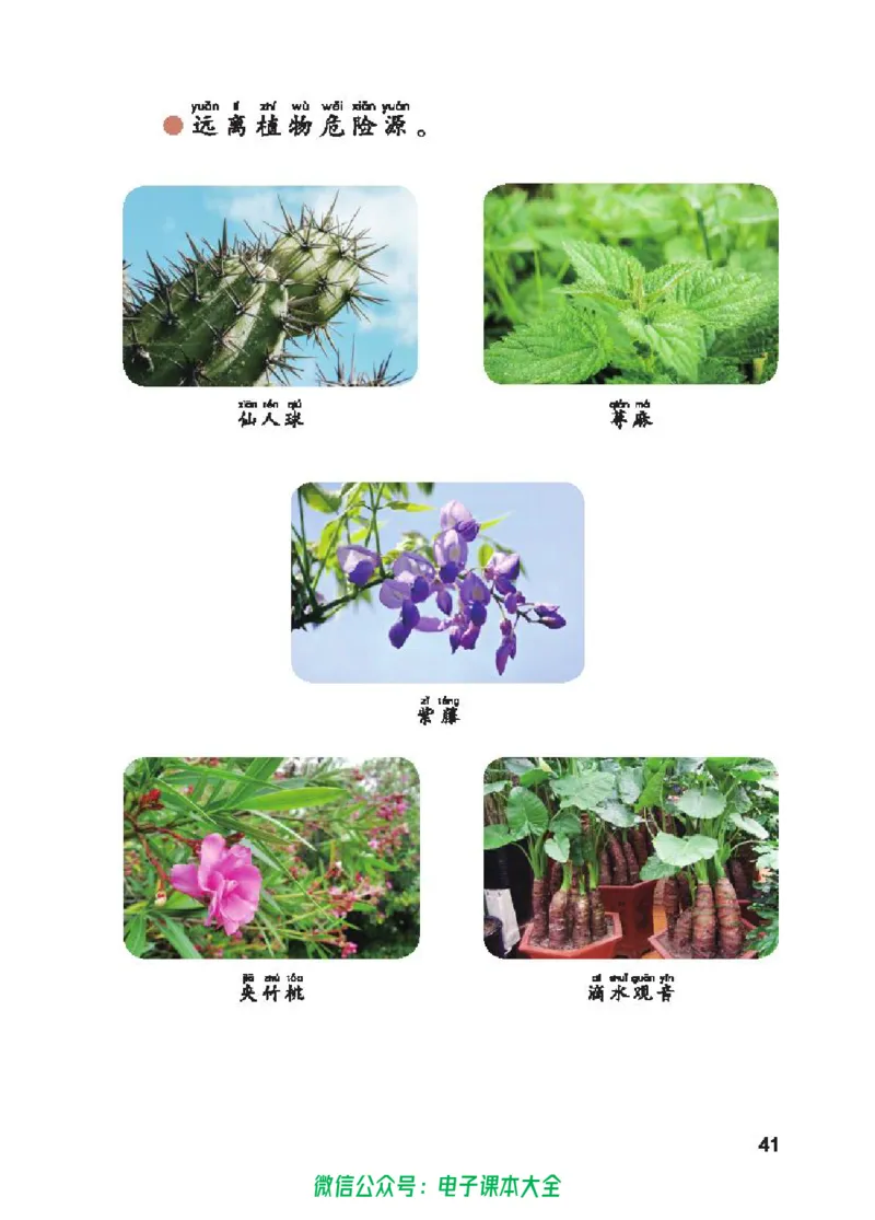 五制一下教材_电子课本_小学电子课本_05科学_青岛版（63、54版）_小学科学青岛五四制1-5下册