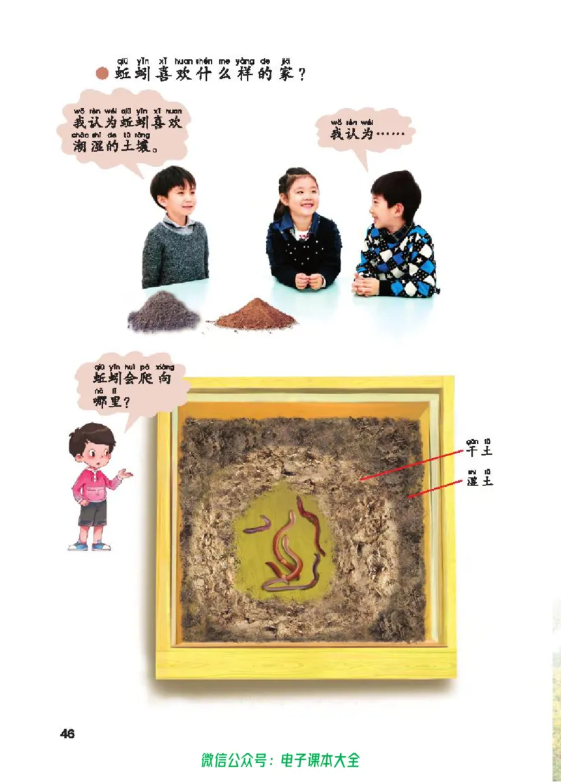五制一下教材_电子课本_小学电子课本_05科学_青岛版（63、54版）_小学科学青岛五四制1-5下册