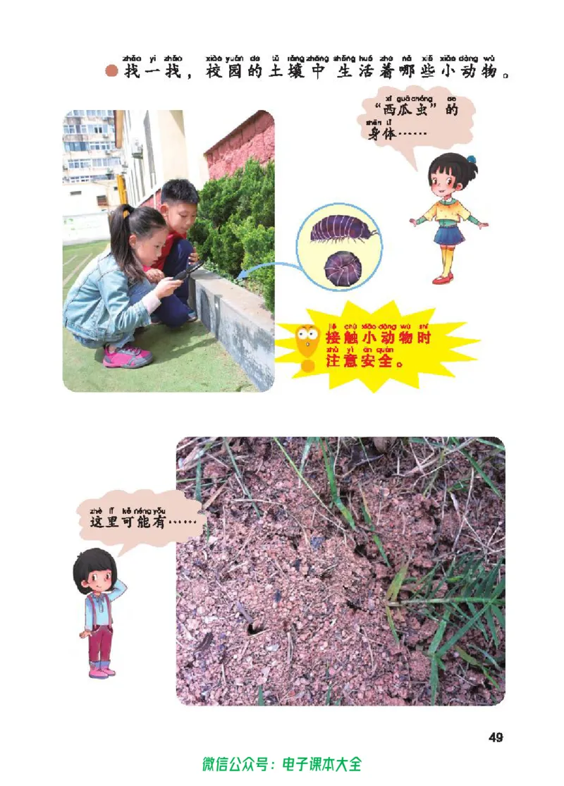 五制一下教材_电子课本_小学电子课本_05科学_青岛版（63、54版）_小学科学青岛五四制1-5下册