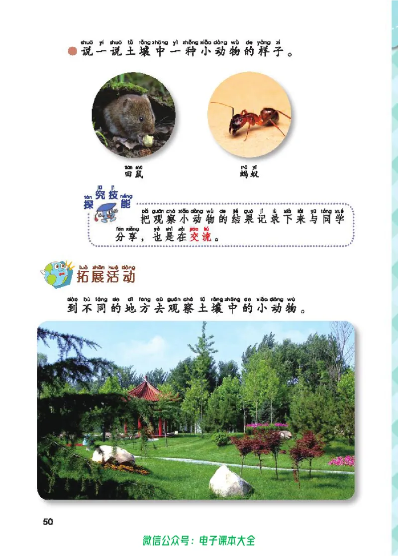 五制一下教材_电子课本_小学电子课本_05科学_青岛版（63、54版）_小学科学青岛五四制1-5下册