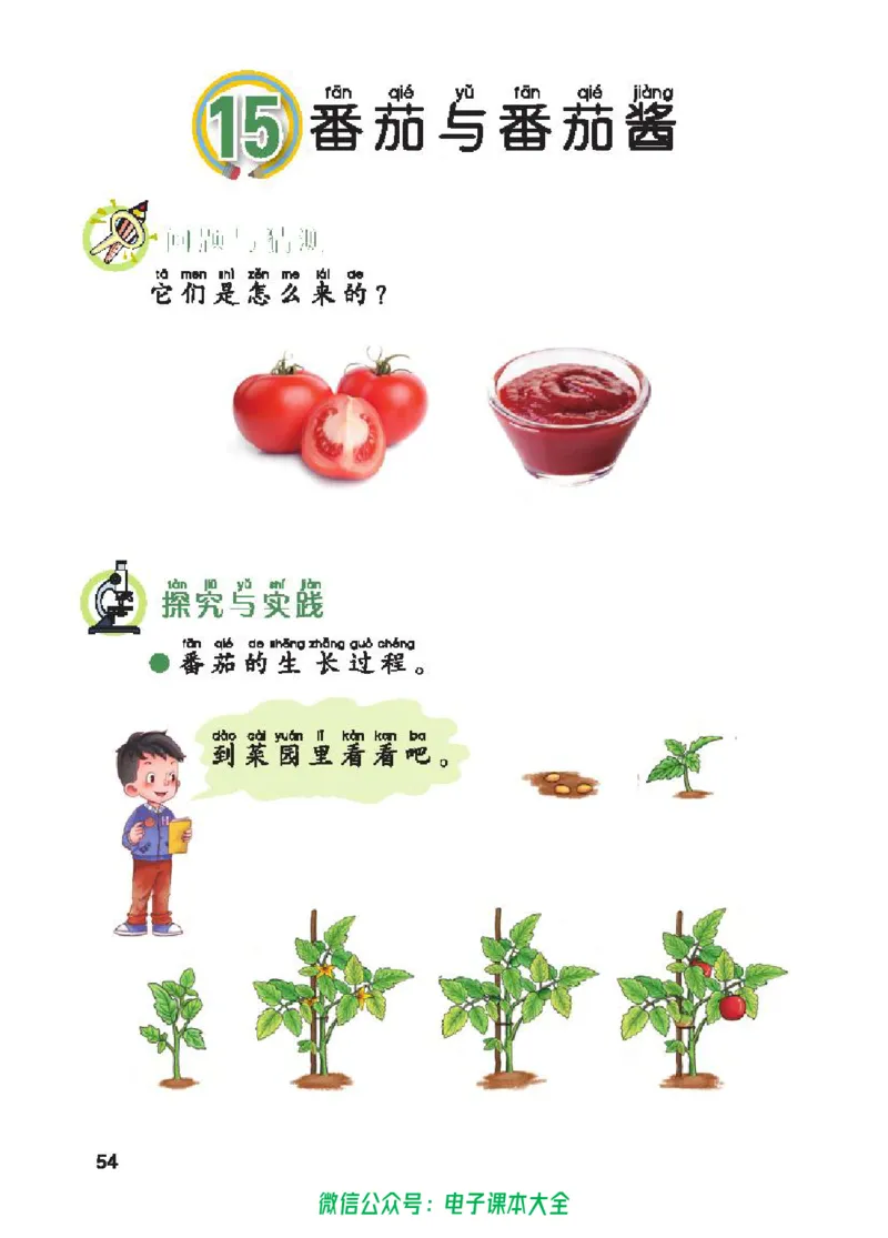 五制一下教材_电子课本_小学电子课本_05科学_青岛版（63、54版）_小学科学青岛五四制1-5下册