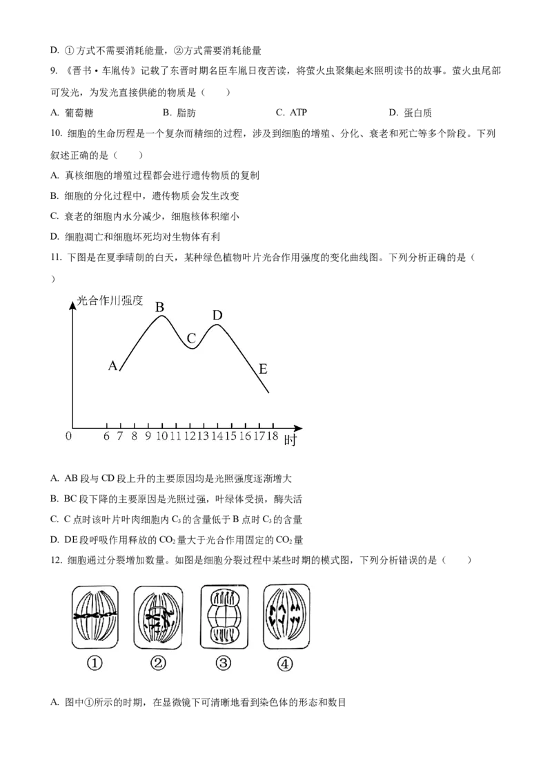 广西百色市2024-2025学年高一上学期1月期末生物试题Word版无答案_2025年03月试卷_0319广西壮族自治区百色市2024-2025学年高一上学期1月期末考试