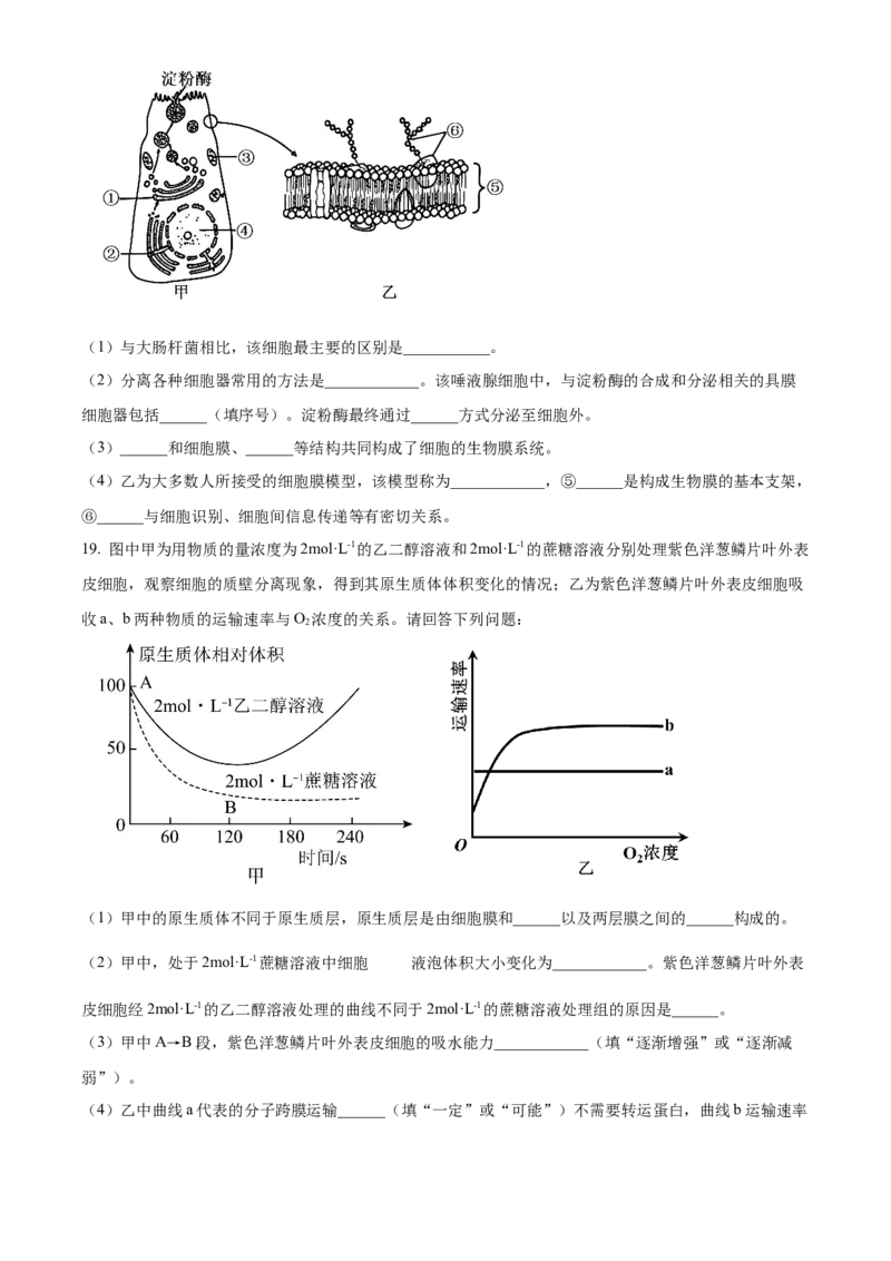 广西百色市2024-2025学年高一上学期1月期末生物试题Word版无答案_2025年03月试卷_0319广西壮族自治区百色市2024-2025学年高一上学期1月期末考试