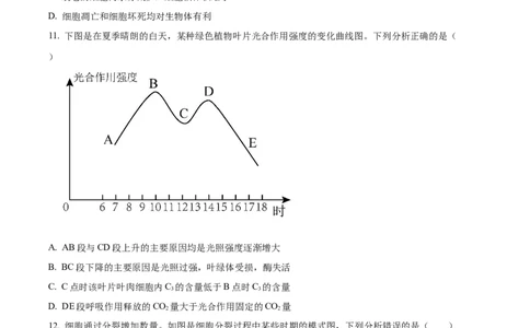 广西百色市2024-2025学年高一上学期1月期末生物试题Word版无答案_2025年03月试卷_0319广西壮族自治区百色市2024-2025学年高一上学期1月期末考试