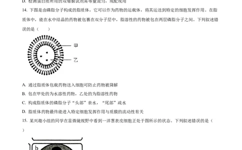 广西百色市2024-2025学年高一上学期1月期末生物试题Word版无答案_2025年03月试卷_0319广西壮族自治区百色市2024-2025学年高一上学期1月期末考试