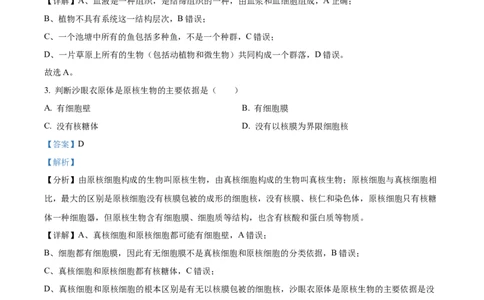 广东省茂名市电白区2024-2025学年高一上学期11月期中考试生物试题Word版含解析_2024年12月试卷_1216广东省茂名市电白区2024-2025学年高一上学期期中考试