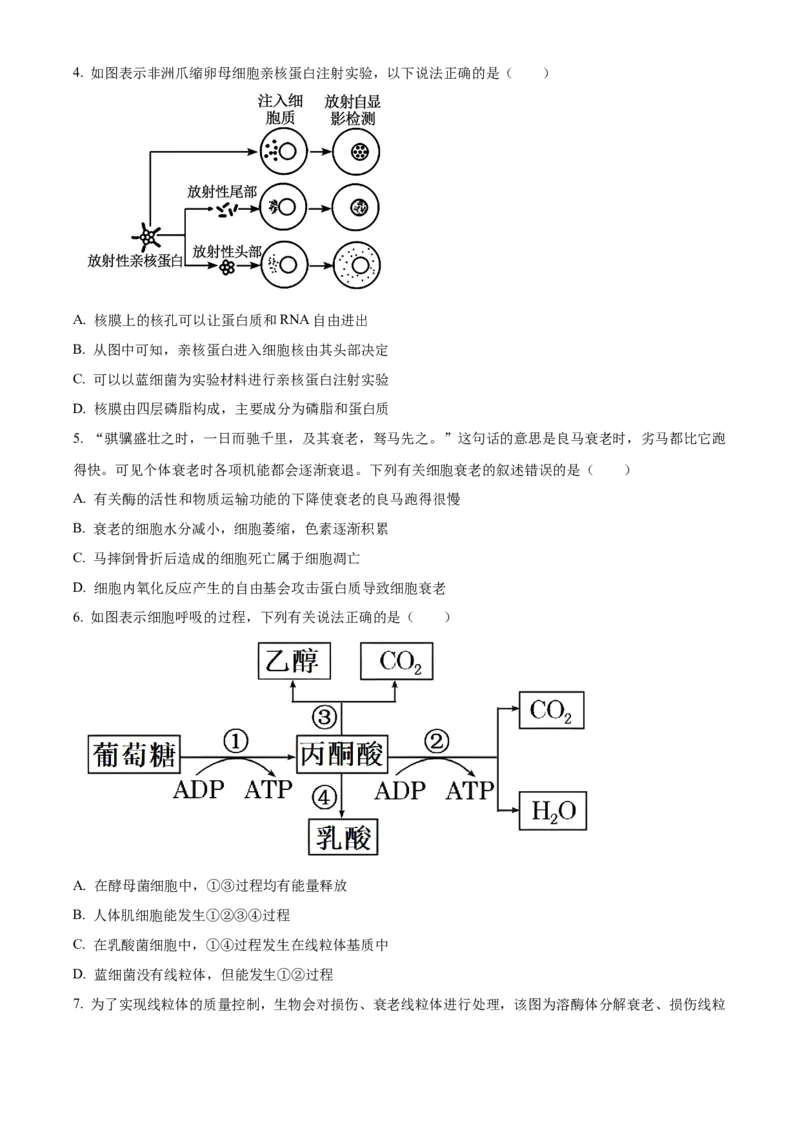 广西壮族自治区河池市2024-2025学年高一上学期1月期末生物试题Word版无答案_2025年03月试卷_0314广西壮族自治区河池市2024-2025学年高一上学期1月期末考试