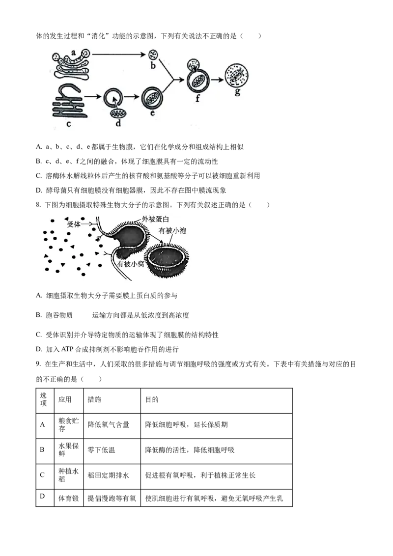 广西壮族自治区河池市2024-2025学年高一上学期1月期末生物试题Word版无答案_2025年03月试卷_0314广西壮族自治区河池市2024-2025学年高一上学期1月期末考试
