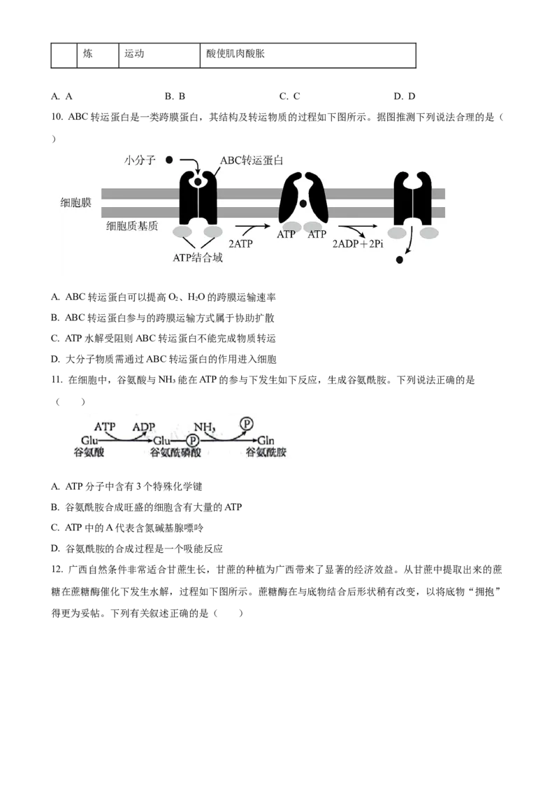 广西壮族自治区河池市2024-2025学年高一上学期1月期末生物试题Word版无答案_2025年03月试卷_0314广西壮族自治区河池市2024-2025学年高一上学期1月期末考试