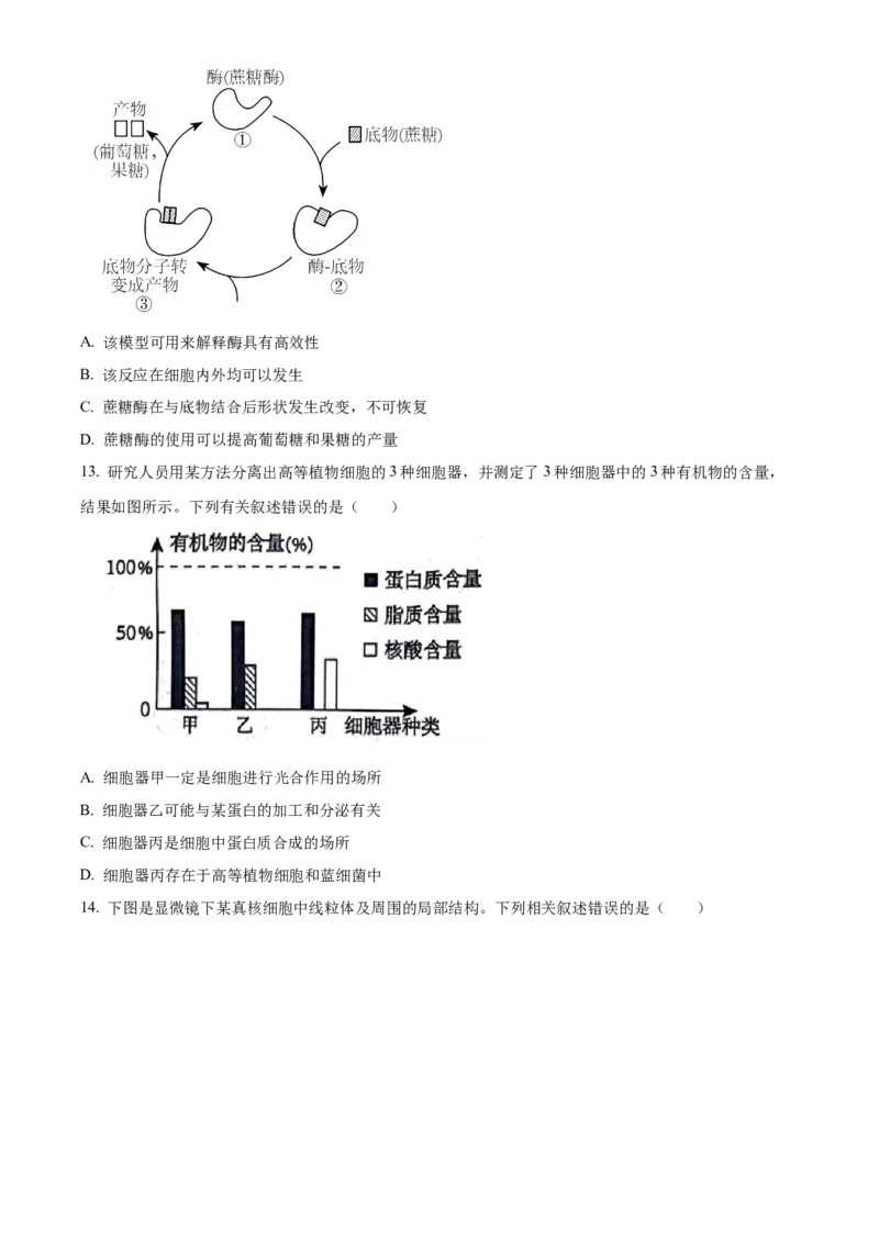 广西壮族自治区河池市2024-2025学年高一上学期1月期末生物试题Word版无答案_2025年03月试卷_0314广西壮族自治区河池市2024-2025学年高一上学期1月期末考试