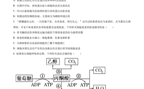 广西壮族自治区河池市2024-2025学年高一上学期1月期末生物试题Word版无答案_2025年03月试卷_0314广西壮族自治区河池市2024-2025学年高一上学期1月期末考试