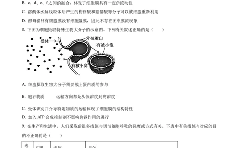 广西壮族自治区河池市2024-2025学年高一上学期1月期末生物试题Word版无答案_2025年03月试卷_0314广西壮族自治区河池市2024-2025学年高一上学期1月期末考试