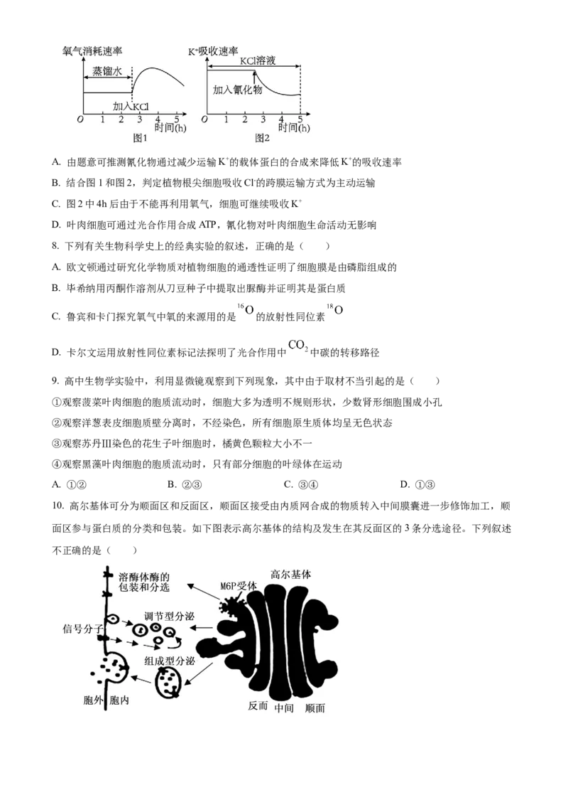 广东省茂名市七校联考2024-2025学年高一下学期2月月考生物试题Word版无答案_2025年03月试卷_0313广东省茂名市七校联盟2024-2025学年高一下学期2月开学联考试题