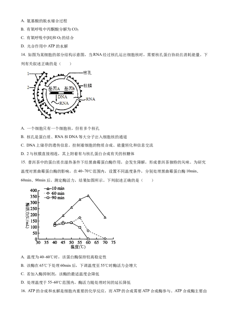 广东省茂名市七校联考2024-2025学年高一下学期2月月考生物试题Word版无答案_2025年03月试卷_0313广东省茂名市七校联盟2024-2025学年高一下学期2月开学联考试题