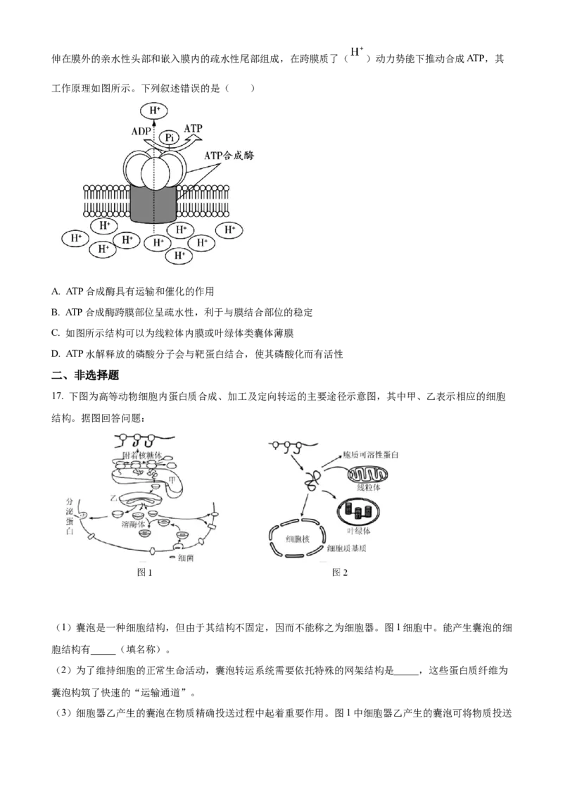 广东省茂名市七校联考2024-2025学年高一下学期2月月考生物试题Word版无答案_2025年03月试卷_0313广东省茂名市七校联盟2024-2025学年高一下学期2月开学联考试题