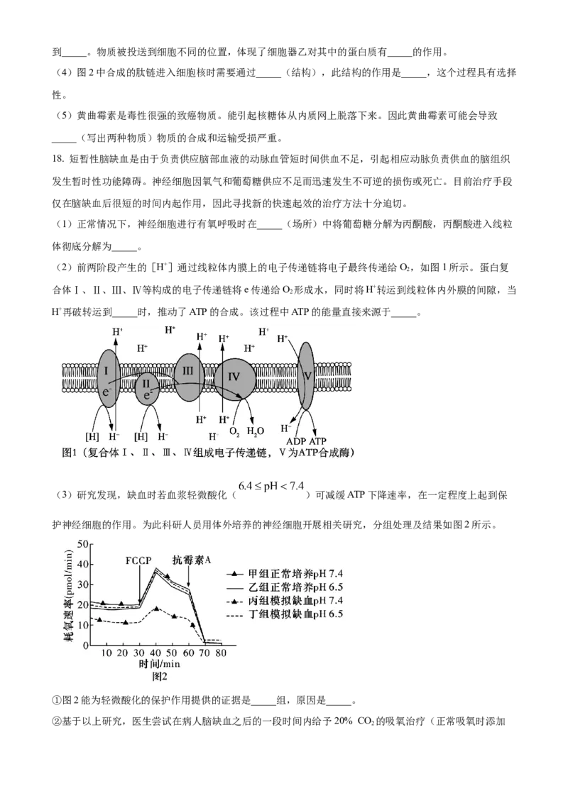 广东省茂名市七校联考2024-2025学年高一下学期2月月考生物试题Word版无答案_2025年03月试卷_0313广东省茂名市七校联盟2024-2025学年高一下学期2月开学联考试题