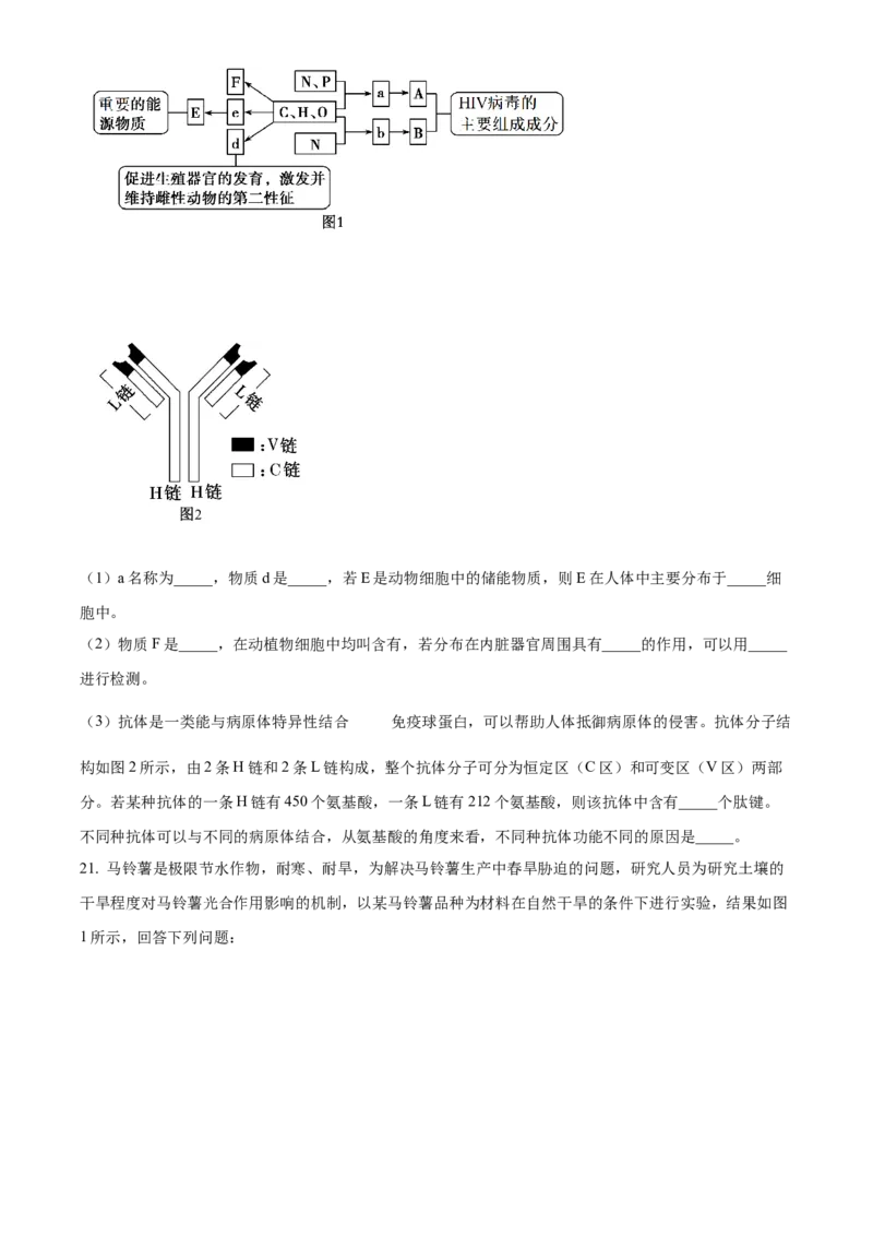 广东省茂名市七校联考2024-2025学年高一下学期2月月考生物试题Word版无答案_2025年03月试卷_0313广东省茂名市七校联盟2024-2025学年高一下学期2月开学联考试题