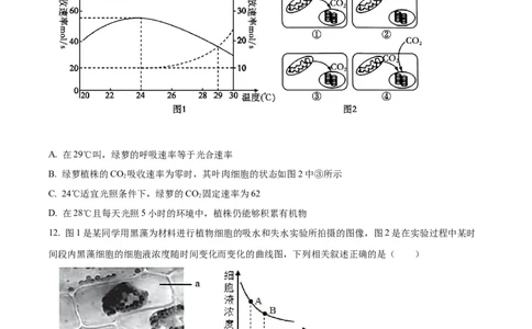 广东省茂名市七校联考2024-2025学年高一下学期2月月考生物试题Word版无答案_2025年03月试卷_0313广东省茂名市七校联盟2024-2025学年高一下学期2月开学联考试题