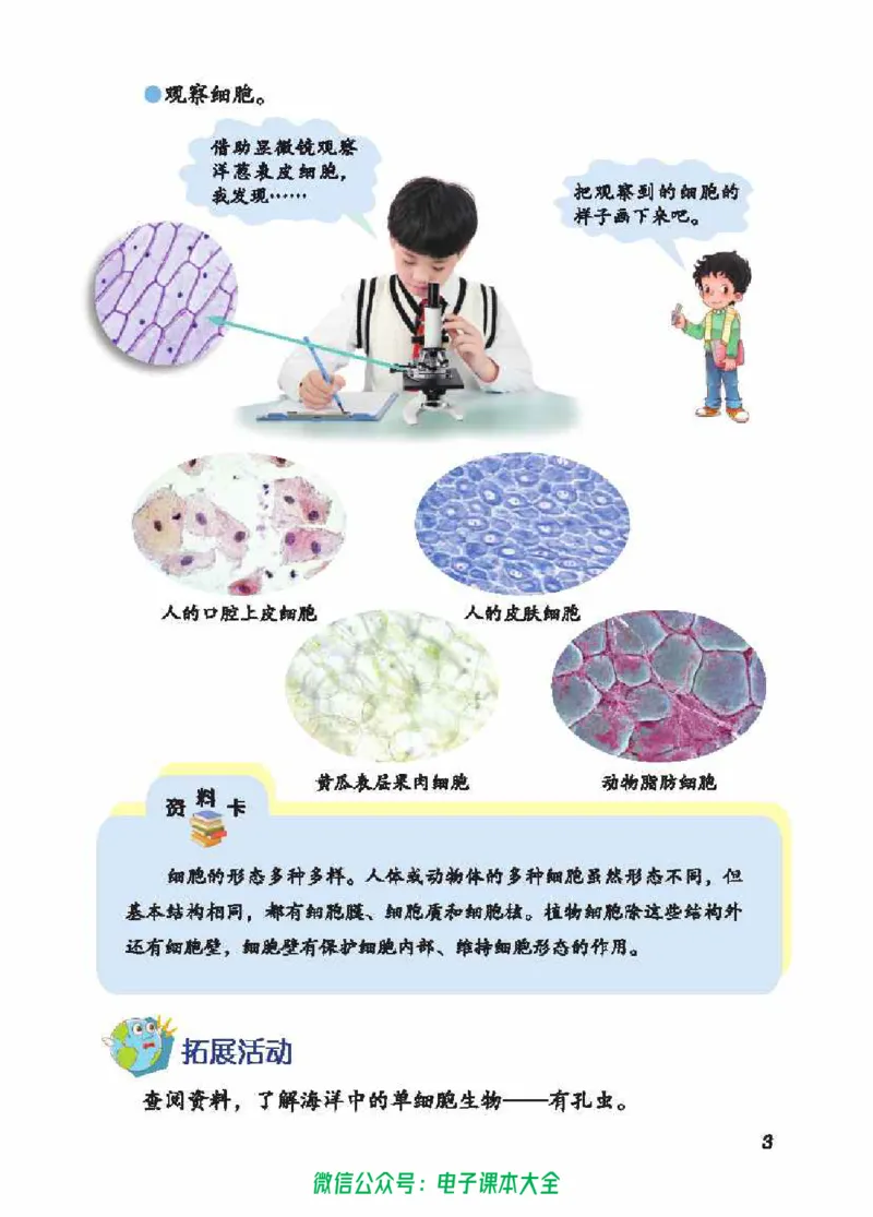 五制五上教材_电子课本_小学电子课本_05科学_青岛版（63、54版）_小学科学青岛五四制1-5上册