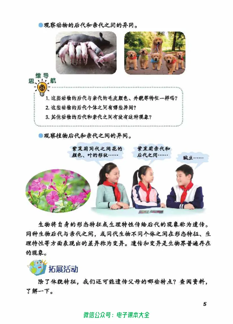 五制五上教材_电子课本_小学电子课本_05科学_青岛版（63、54版）_小学科学青岛五四制1-5上册