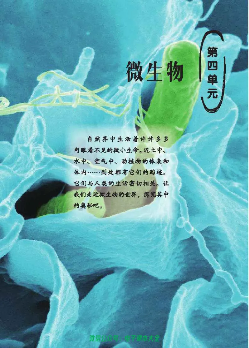 五制五上教材_电子课本_小学电子课本_05科学_青岛版（63、54版）_小学科学青岛五四制1-5上册