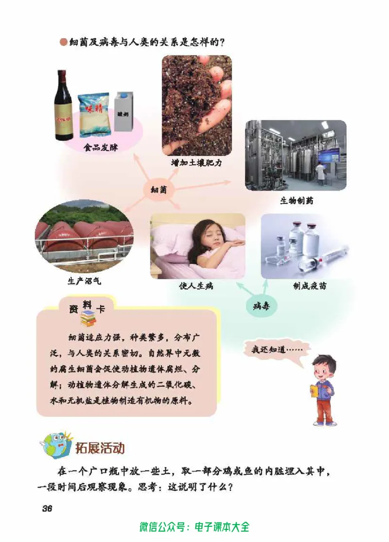 五制五上教材_电子课本_小学电子课本_05科学_青岛版（63、54版）_小学科学青岛五四制1-5上册